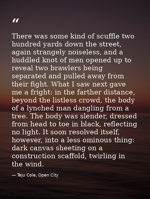 There was some kind of scuffle two hundred yards down the street, again strangely noiseless, and a huddled knot of men o — Teju Cole, Open City