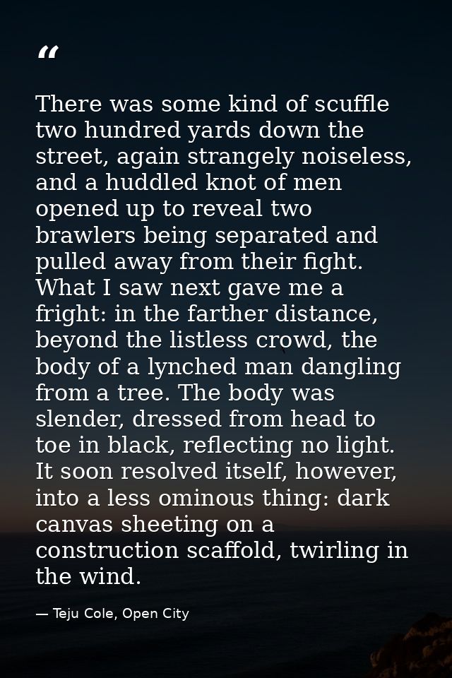 There was some kind of scuffle two hundred yards down the street, again strangely noiseless, and a huddled knot of men o — Teju Cole, Open City