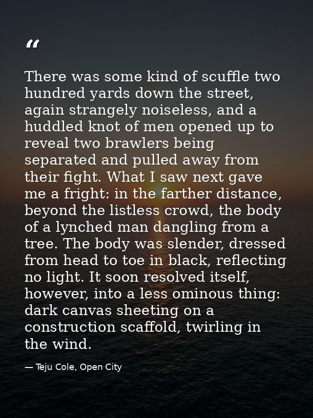 There was some kind of scuffle two hundred yards down the street, again strangely noiseless, and a huddled knot of men o — Teju Cole, Open City