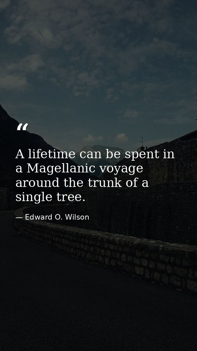 A lifetime can be spent in a Magellanic voyage around the trunk of a single tree. — Edward O. Wilson