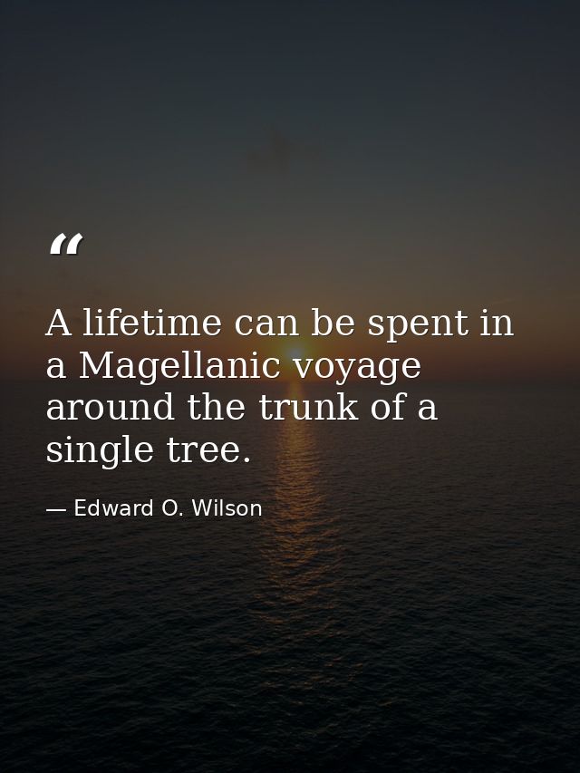 A lifetime can be spent in a Magellanic voyage around the trunk of a single tree. — Edward O. Wilson