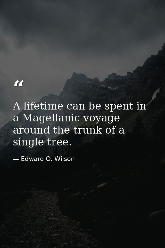 A lifetime can be spent in a Magellanic voyage around the trunk of a single tree. — Edward O. Wilson