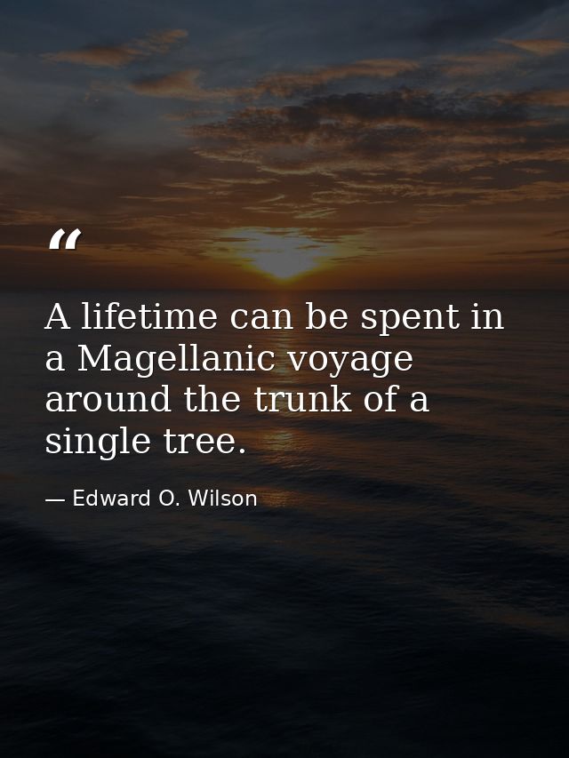 A lifetime can be spent in a Magellanic voyage around the trunk of a single tree. — Edward O. Wilson