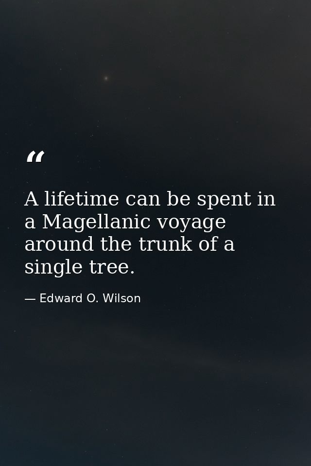 A lifetime can be spent in a Magellanic voyage around the trunk of a single tree. — Edward O. Wilson