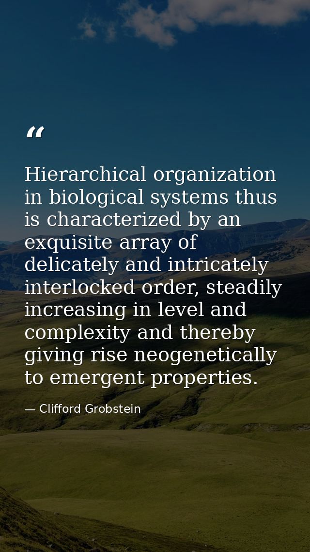 Hierarchical organization in biological systems thus is characterized by an exquisite array of delicately and intricatel — Clifford Grobstein