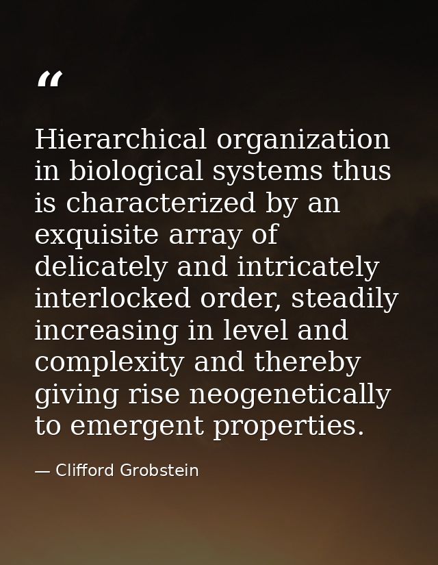 Hierarchical organization in biological systems thus is characterized by an exquisite array of delicately and intricatel — Clifford Grobstein