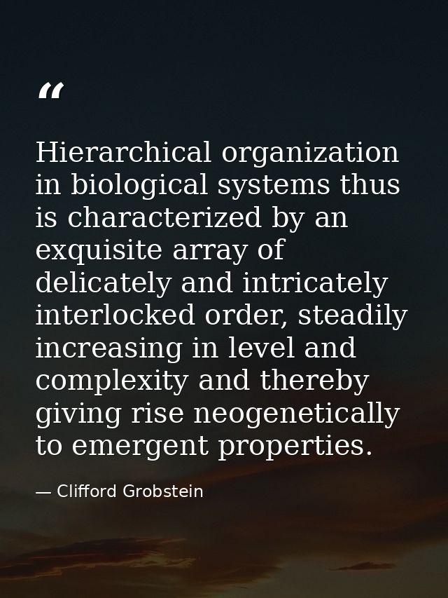 Hierarchical organization in biological systems thus is characterized by an exquisite array of delicately and intricatel — Clifford Grobstein