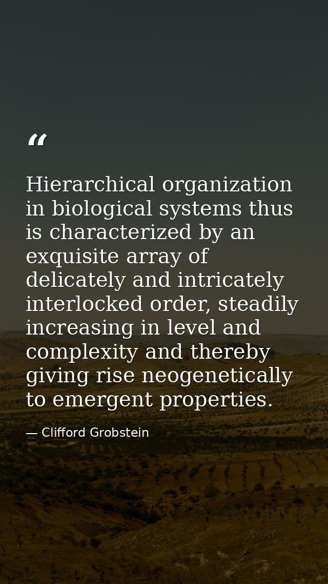 Hierarchical organization in biological systems thus is characterized by an exquisite array of delicately and intricatel — Clifford Grobstein