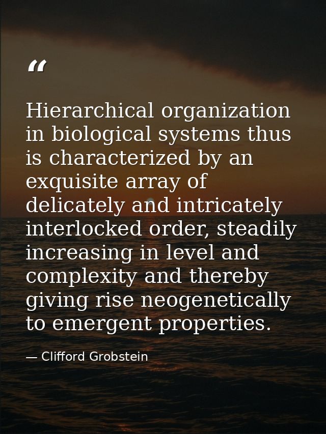 Hierarchical organization in biological systems thus is characterized by an exquisite array of delicately and intricatel — Clifford Grobstein