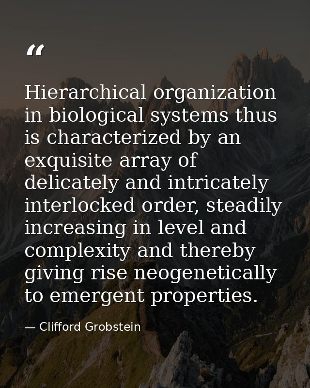 Hierarchical organization in biological systems thus is characterized by an exquisite array of delicately and intricatel — Clifford Grobstein