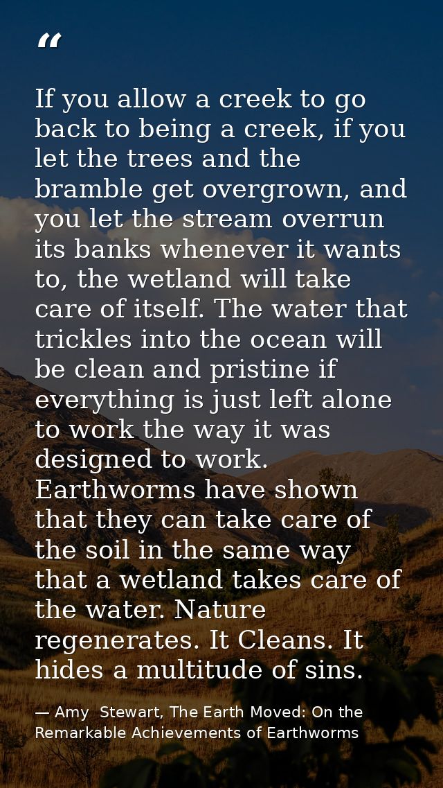If you allow a creek to go back to being a creek, if you let the trees and the bramble get overgrown, and you let the st — Amy  Stewart, The Earth Moved: On the Remarkable Achievements of Earthworms