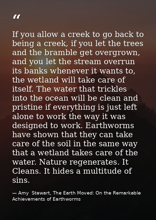 If you allow a creek to go back to being a creek, if you let the trees and the bramble get overgrown, and you let the st — Amy  Stewart, The Earth Moved: On the Remarkable Achievements of Earthworms