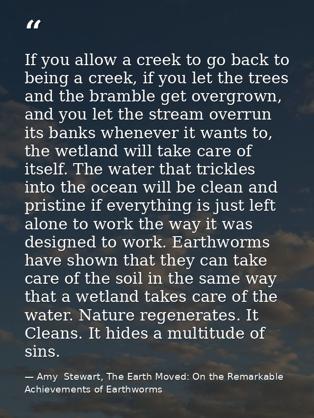 If you allow a creek to go back to being a creek, if you let the trees and the bramble get overgrown, and you let the st — Amy  Stewart, The Earth Moved: On the Remarkable Achievements of Earthworms