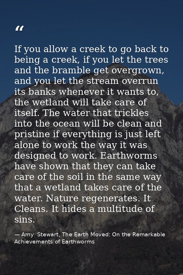 If you allow a creek to go back to being a creek, if you let the trees and the bramble get overgrown, and you let the st — Amy  Stewart, The Earth Moved: On the Remarkable Achievements of Earthworms