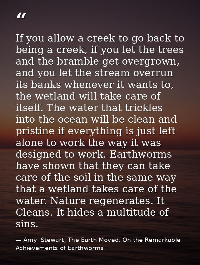 If you allow a creek to go back to being a creek, if you let the trees and the bramble get overgrown, and you let the st — Amy  Stewart, The Earth Moved: On the Remarkable Achievements of Earthworms