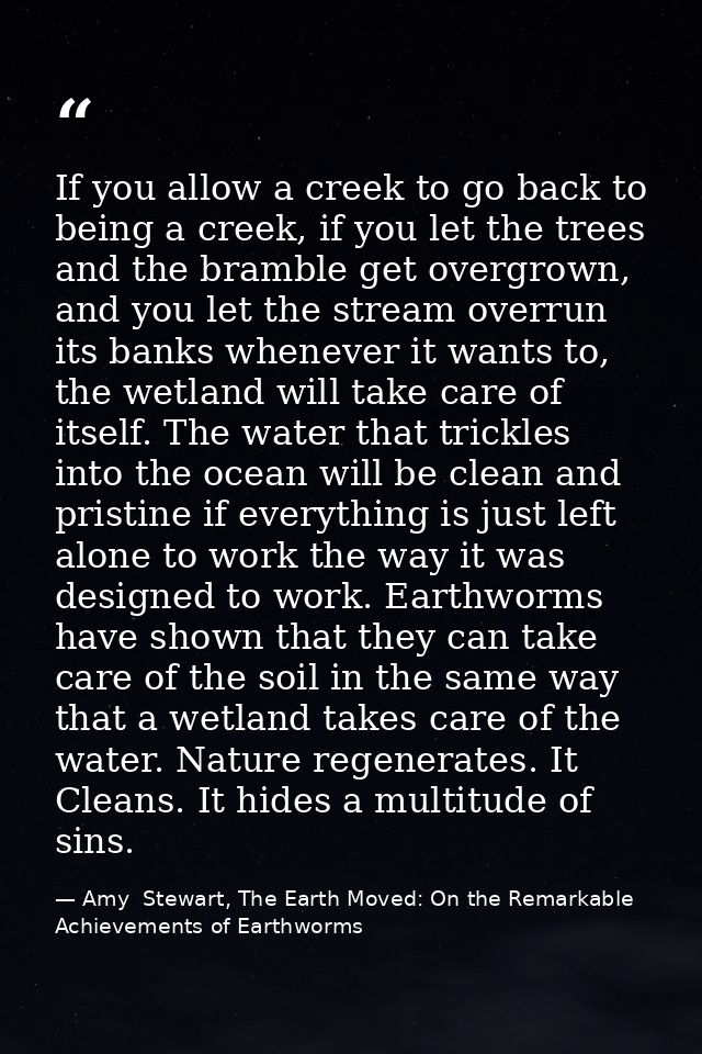 If you allow a creek to go back to being a creek, if you let the trees and the bramble get overgrown, and you let the st — Amy  Stewart, The Earth Moved: On the Remarkable Achievements of Earthworms