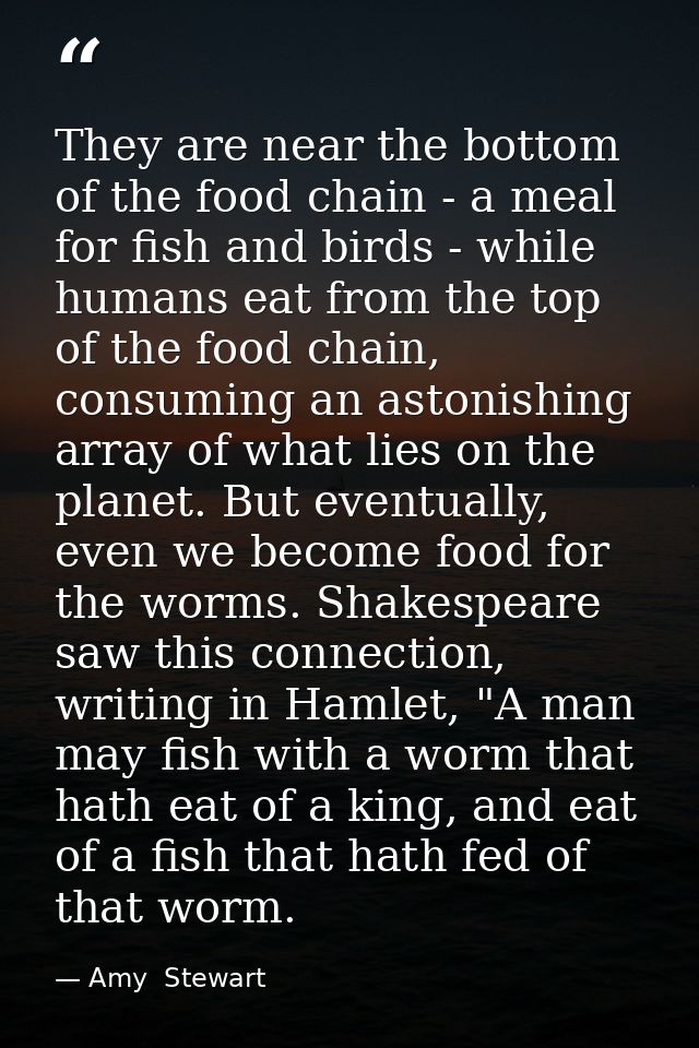 They are near the bottom of the food chain - a meal for fish and birds - while humans eat from the top of the food chain — Amy  Stewart
