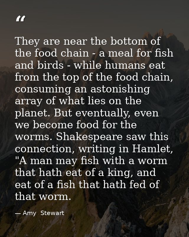 They are near the bottom of the food chain - a meal for fish and birds - while humans eat from the top of the food chain — Amy  Stewart