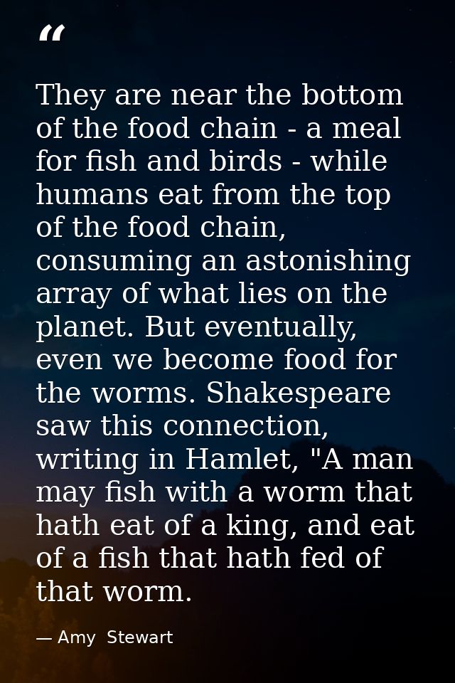 They are near the bottom of the food chain - a meal for fish and birds - while humans eat from the top of the food chain — Amy  Stewart