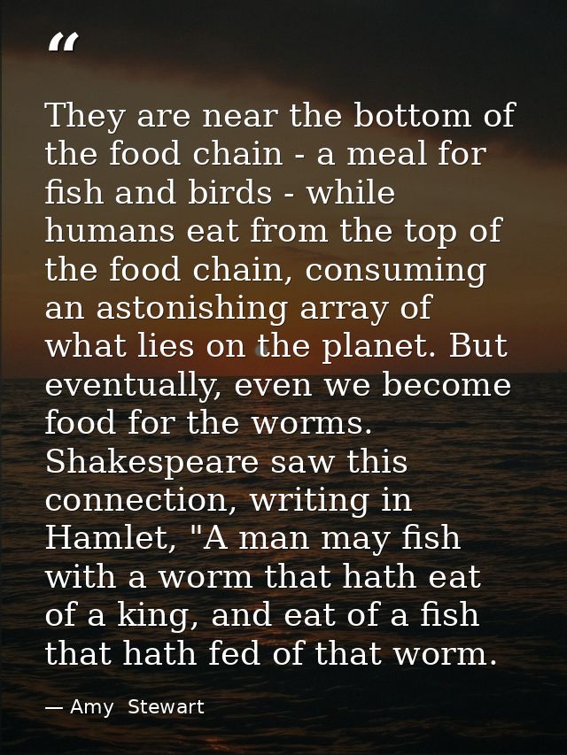They are near the bottom of the food chain - a meal for fish and birds - while humans eat from the top of the food chain — Amy  Stewart