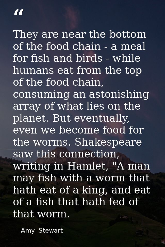They are near the bottom of the food chain - a meal for fish and birds - while humans eat from the top of the food chain — Amy  Stewart