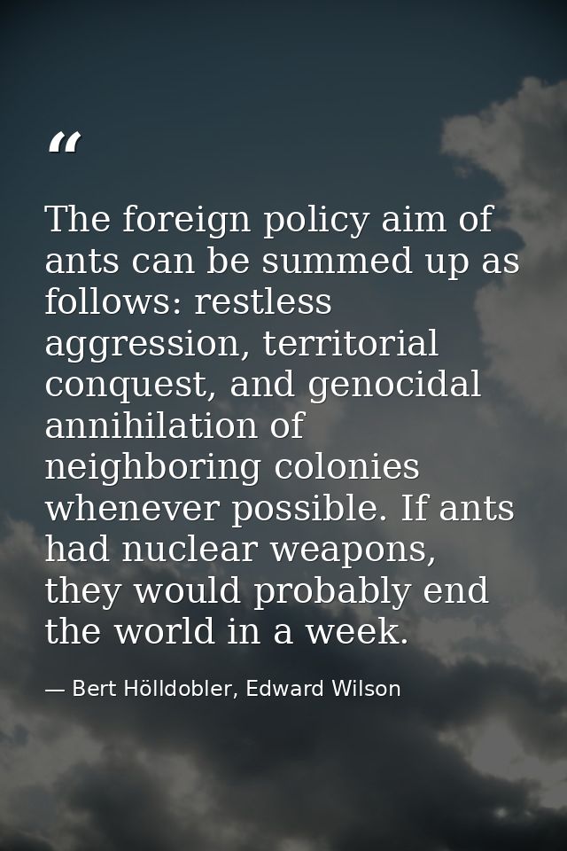 The foreign policy aim of ants can be summed up as follows: restless aggression, territorial conquest, and genocidal ann — Bert Hölldobler, Edward Wilson