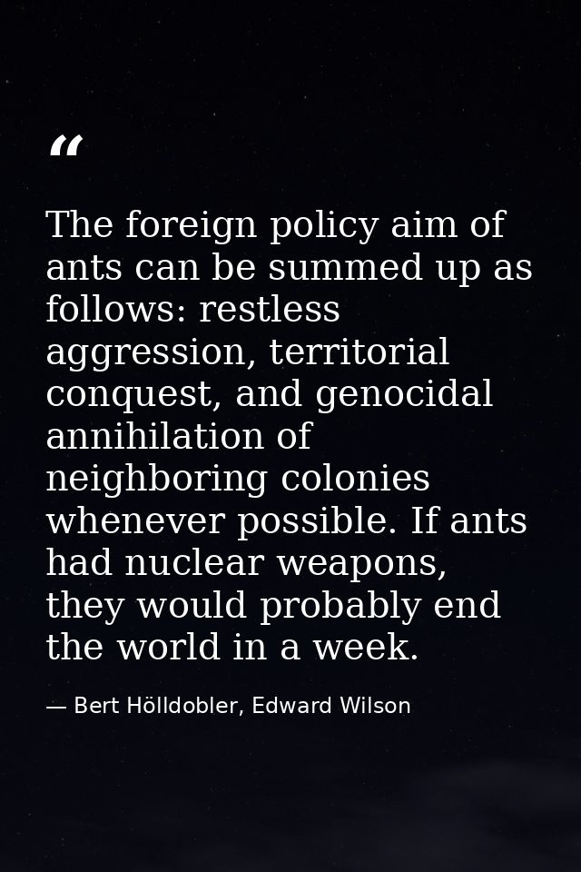 The foreign policy aim of ants can be summed up as follows: restless aggression, territorial conquest, and genocidal ann — Bert Hölldobler, Edward Wilson