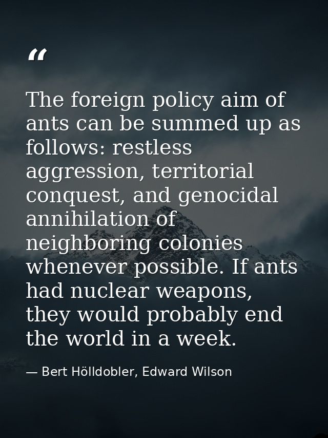 The foreign policy aim of ants can be summed up as follows: restless aggression, territorial conquest, and genocidal ann — Bert Hölldobler, Edward Wilson