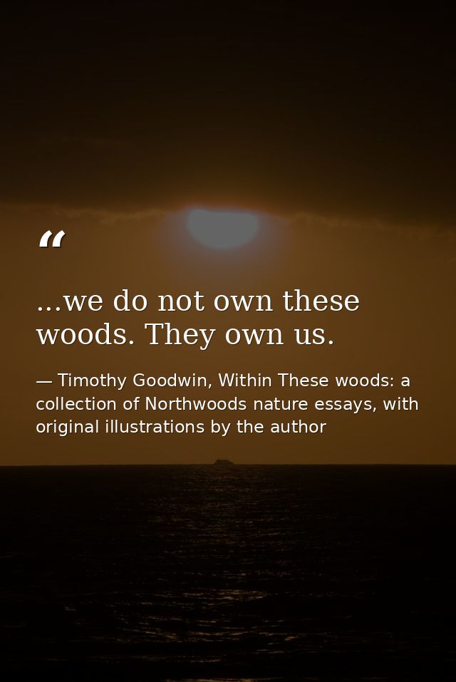 ...we do not own these woods. They own us. — Timothy Goodwin, Within These woods: a collection of Northwoods nature essays, with original illustrations by the author