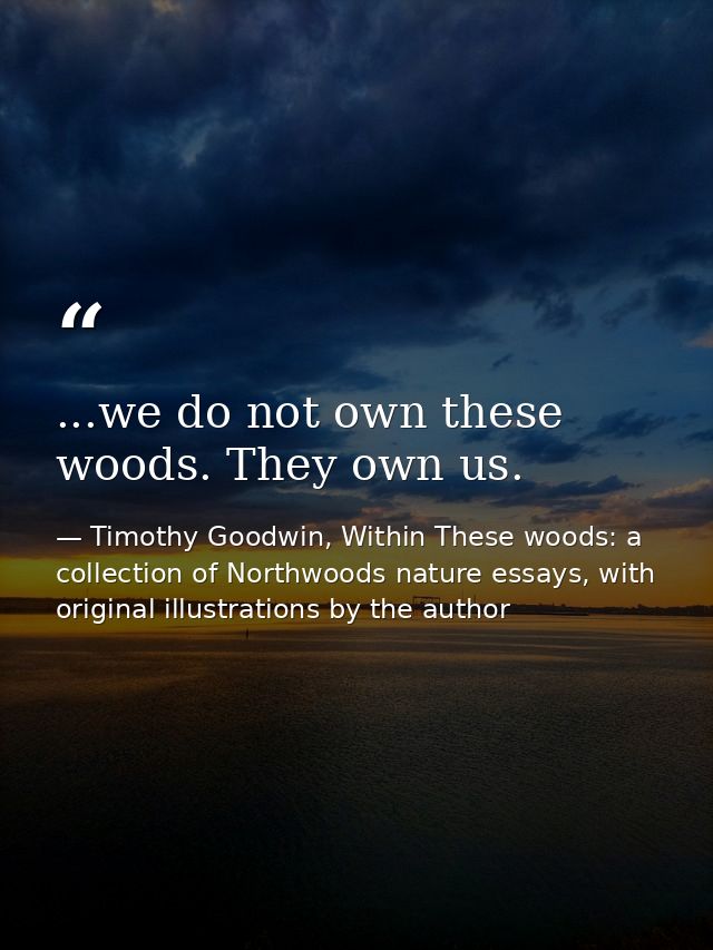 ...we do not own these woods. They own us. — Timothy Goodwin, Within These woods: a collection of Northwoods nature essays, with original illustrations by the author