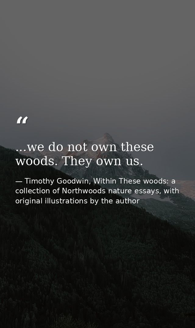 ...we do not own these woods. They own us. — Timothy Goodwin, Within These woods: a collection of Northwoods nature essays, with original illustrations by the author