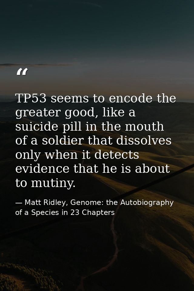 TP53 seems to encode the greater good, like a suicide pill in the mouth of a soldier that dissolves only when it detects — Matt Ridley, Genome: the Autobiography of a Species in 23 Chapters