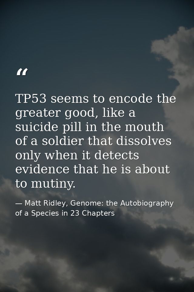 TP53 seems to encode the greater good, like a suicide pill in the mouth of a soldier that dissolves only when it detects — Matt Ridley, Genome: the Autobiography of a Species in 23 Chapters