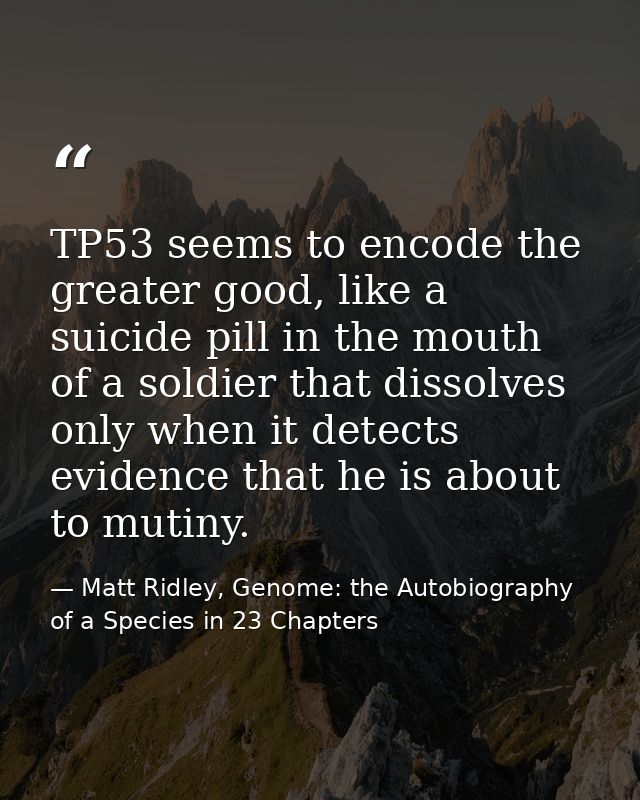 TP53 seems to encode the greater good, like a suicide pill in the mouth of a soldier that dissolves only when it detects — Matt Ridley, Genome: the Autobiography of a Species in 23 Chapters