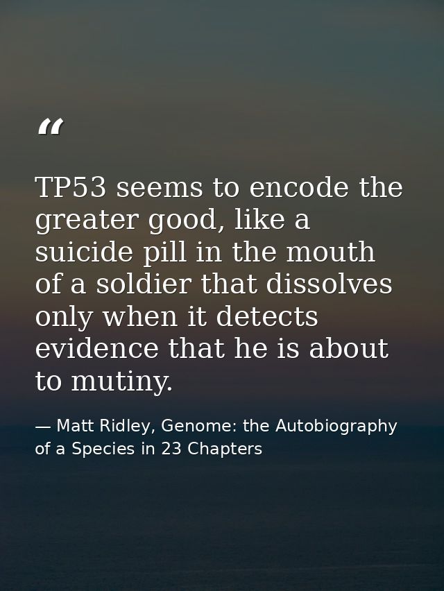 TP53 seems to encode the greater good, like a suicide pill in the mouth of a soldier that dissolves only when it detects — Matt Ridley, Genome: the Autobiography of a Species in 23 Chapters