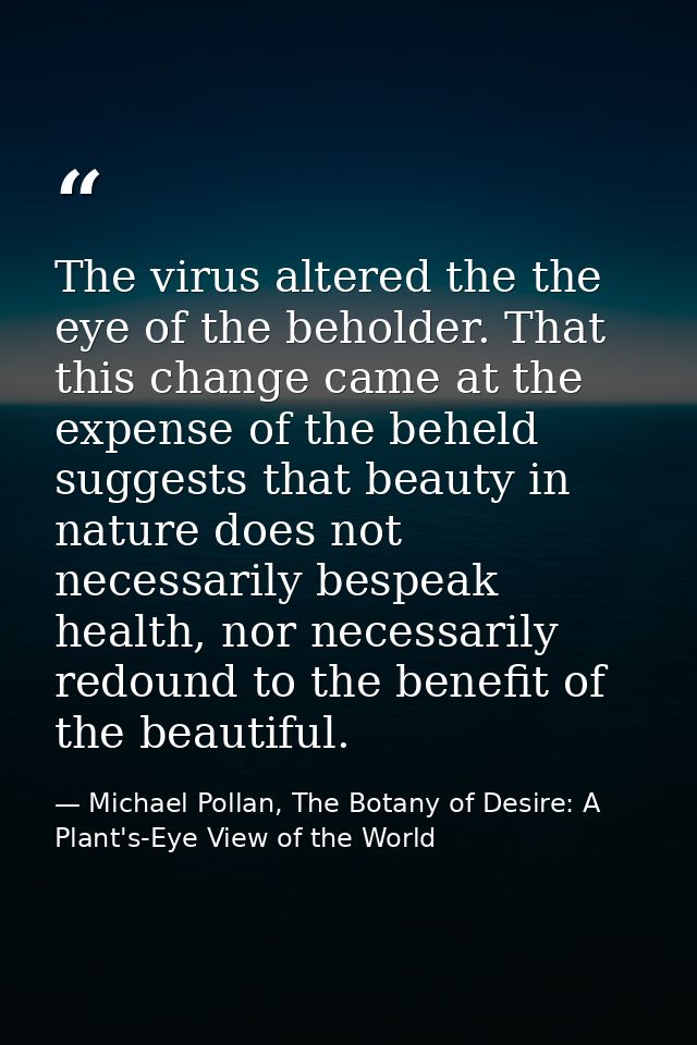 The virus altered the the eye of the beholder. That this change came at the expense of the beheld suggests that beauty i — Michael Pollan, The Botany of Desire: A Plant's-Eye View of the World