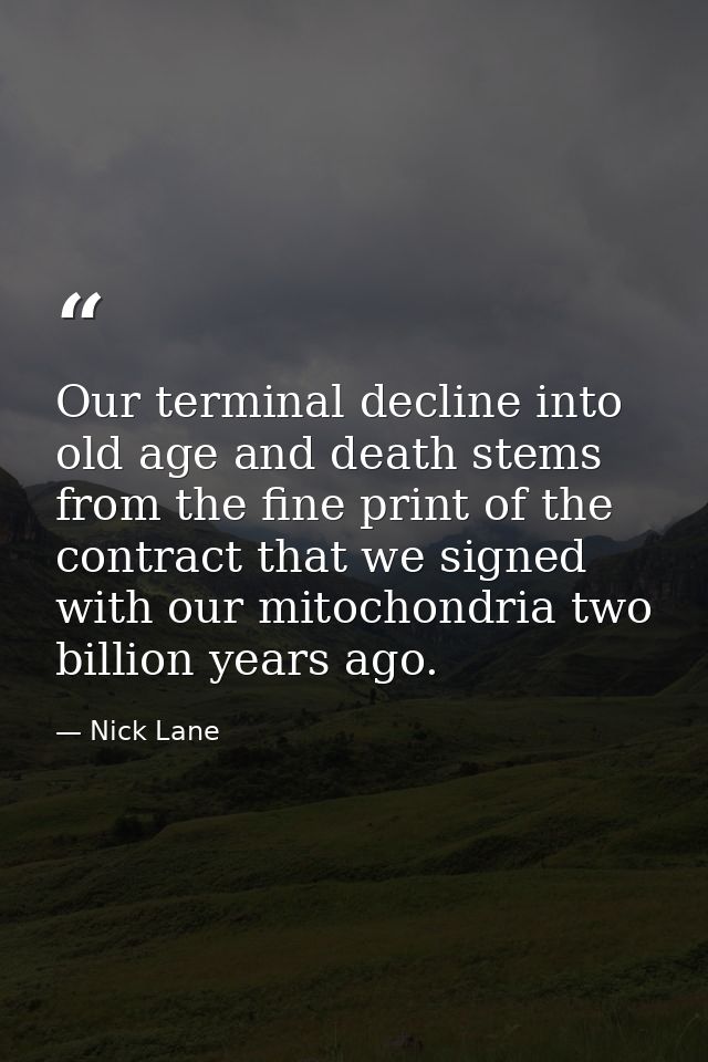Our terminal decline into old age and death stems from the fine print of the contract that we signed with our mitochondr — Nick Lane