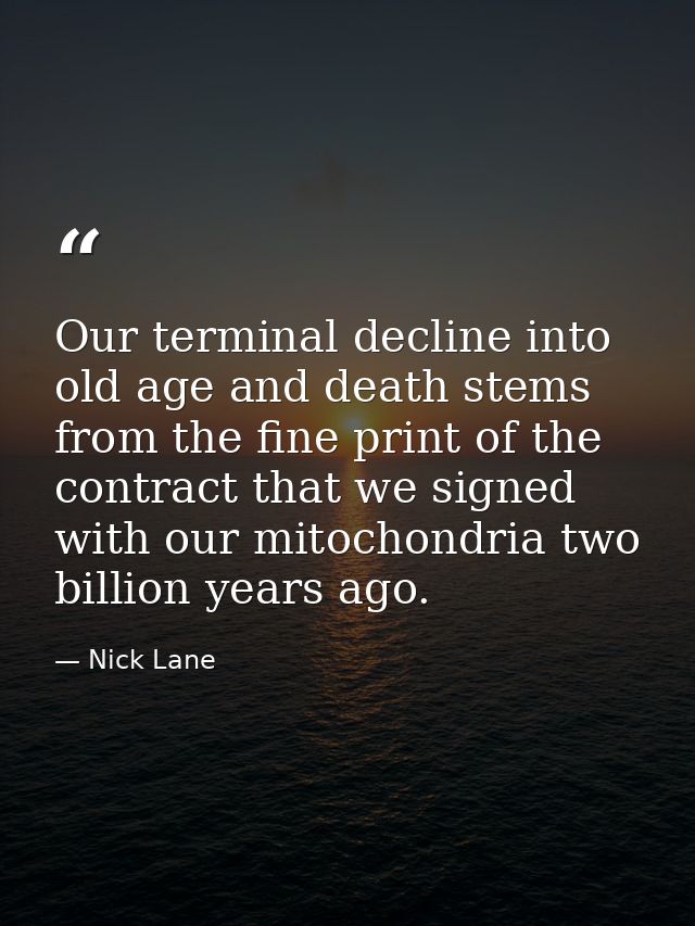 Our terminal decline into old age and death stems from the fine print of the contract that we signed with our mitochondr — Nick Lane