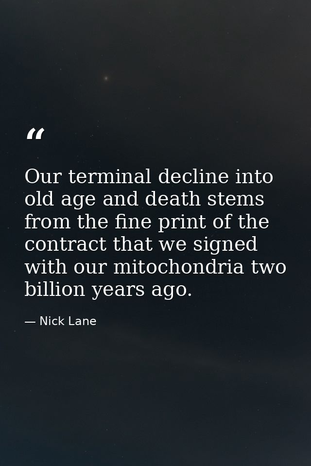 Our terminal decline into old age and death stems from the fine print of the contract that we signed with our mitochondr — Nick Lane