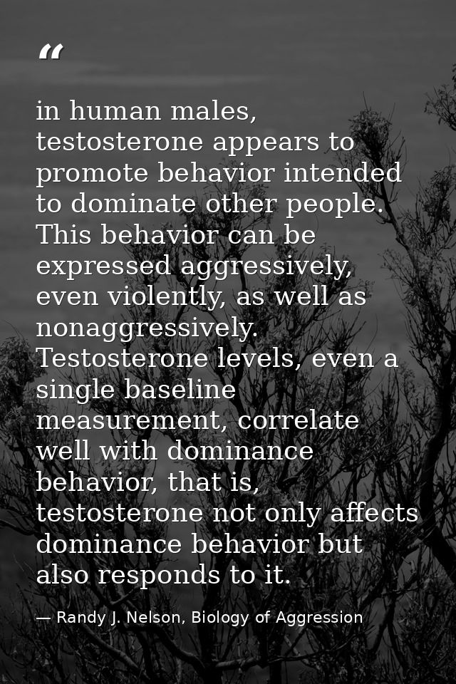 in human males, testosterone appears to promote behavior intended to dominate other people. This behavior can be express — Randy J. Nelson, Biology of Aggression