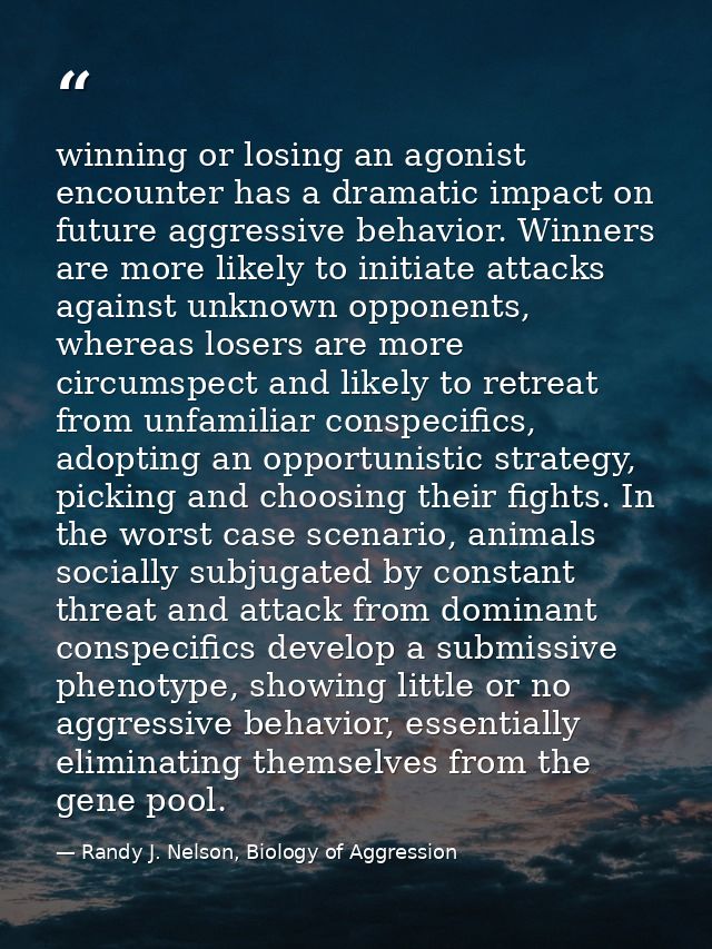 winning or losing an agonist encounter has a dramatic impact on future aggressive behavior. Winners are more likely to i — Randy J. Nelson, Biology of Aggression