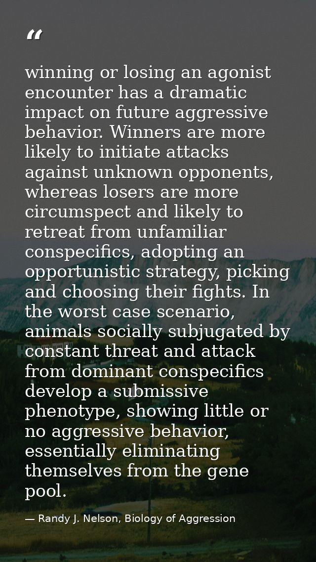 winning or losing an agonist encounter has a dramatic impact on future aggressive behavior. Winners are more likely to i — Randy J. Nelson, Biology of Aggression