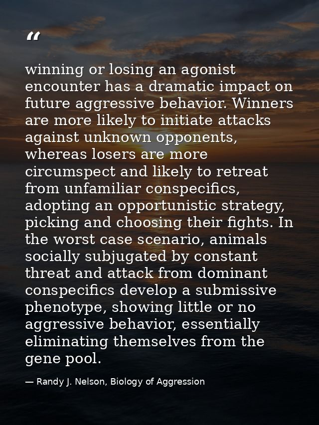 winning or losing an agonist encounter has a dramatic impact on future aggressive behavior. Winners are more likely to i — Randy J. Nelson, Biology of Aggression