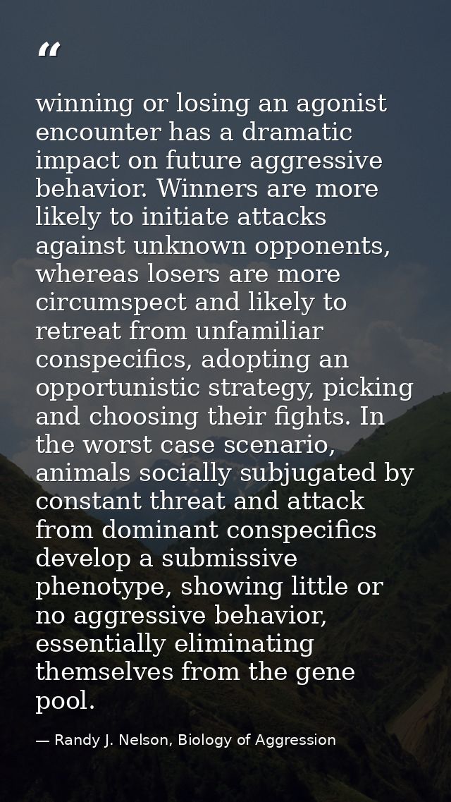 winning or losing an agonist encounter has a dramatic impact on future aggressive behavior. Winners are more likely to i — Randy J. Nelson, Biology of Aggression