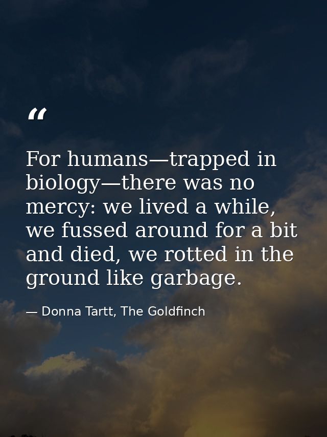 For humans—trapped in biology—there was no mercy: we lived a while, we fussed around for a bit and died, we rotted in th — Donna Tartt, The Goldfinch