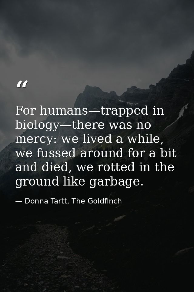 For humans—trapped in biology—there was no mercy: we lived a while, we fussed around for a bit and died, we rotted in th — Donna Tartt, The Goldfinch