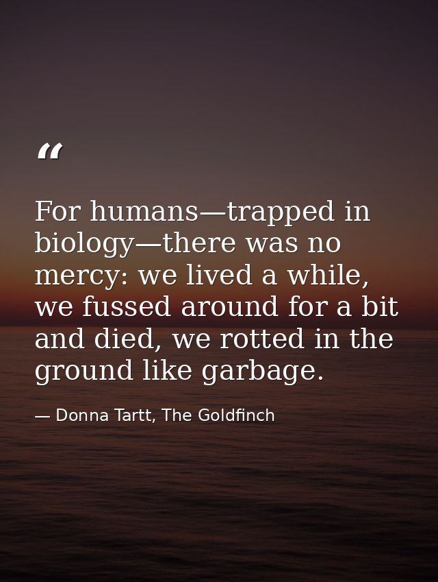 For humans—trapped in biology—there was no mercy: we lived a while, we fussed around for a bit and died, we rotted in th — Donna Tartt, The Goldfinch