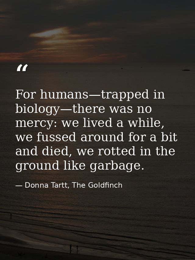 For humans—trapped in biology—there was no mercy: we lived a while, we fussed around for a bit and died, we rotted in th — Donna Tartt, The Goldfinch