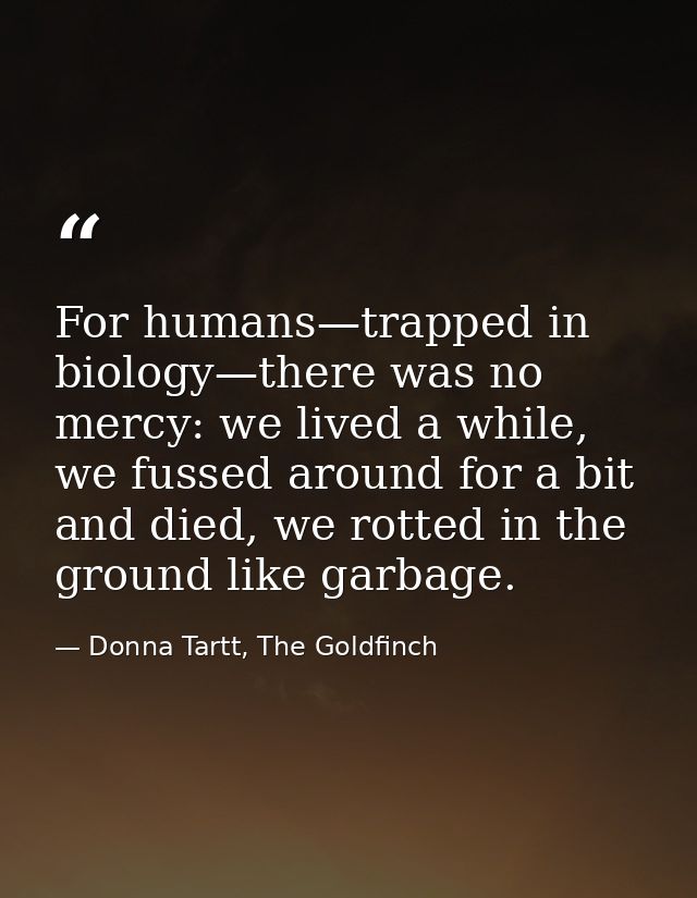 For humans—trapped in biology—there was no mercy: we lived a while, we fussed around for a bit and died, we rotted in th — Donna Tartt, The Goldfinch