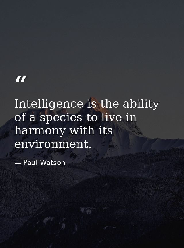 Intelligence is the ability of a species to live in harmony with its environment. — Paul Watson